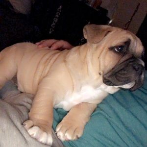 Meet your Posher, Ruben